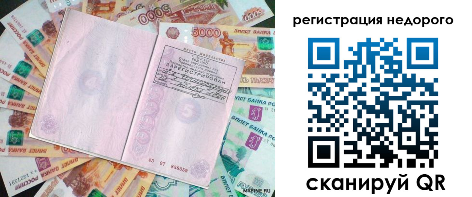 прописка в квартире в Палласовке